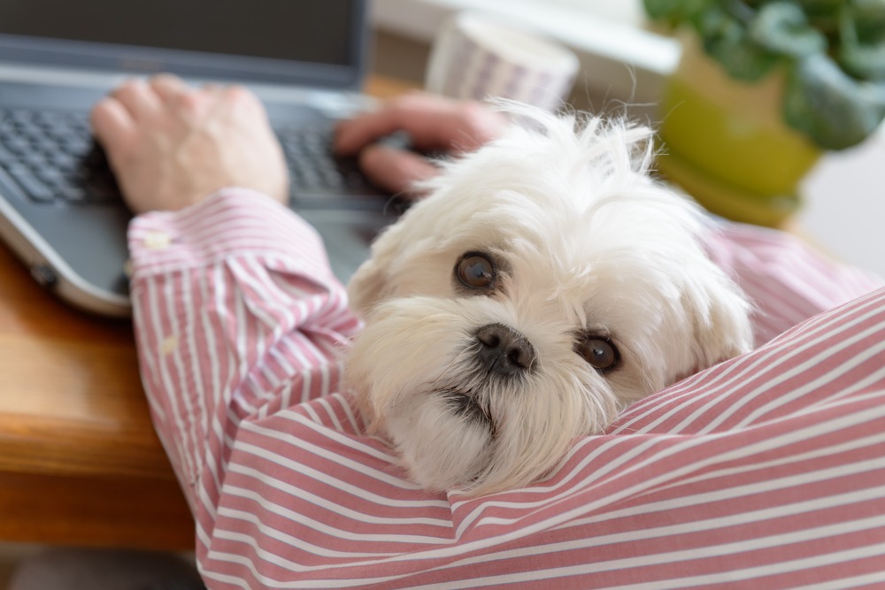 Surviving the New Workplace